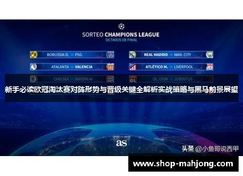 新手必读欧冠淘汰赛对阵形势与晋级关键全解析实战策略与黑马前景展望